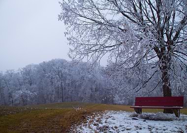 Snowy Winter Landscape with Red Bench and Tree
