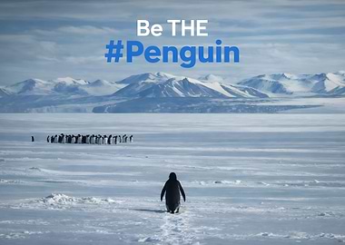 Be the Penguin