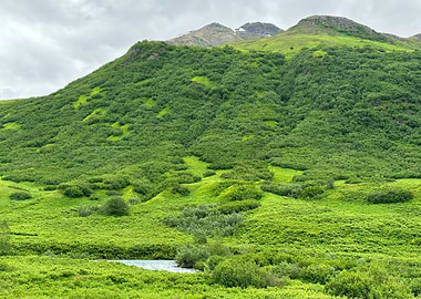 Alaskan Lush Green Mountain Landscape