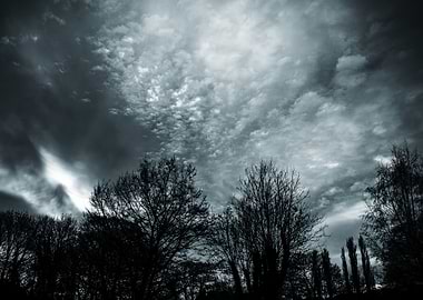 Dramatic Sky Over Silhouetted Trees