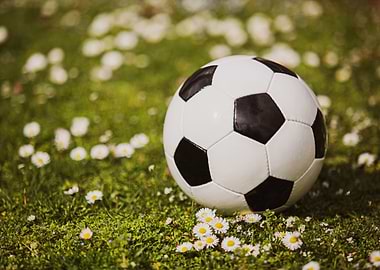 Soccer ball on grass with daisies