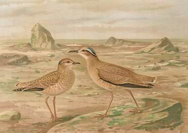 Two Birds in a Landscape Painting