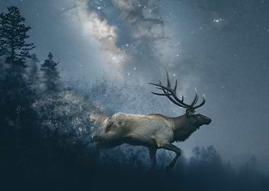 Elk Running Under Starry Night Sky