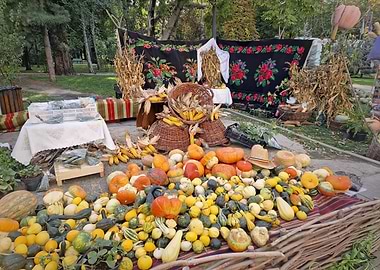 Autumn Harvest Display with Pumpkins and Gourds