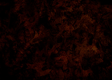 Dark Autumn Leaves Abstract