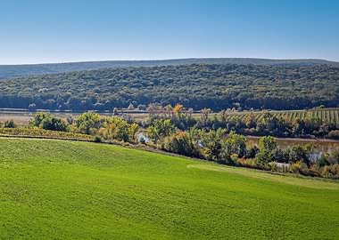 Green Field and Forest Landscape