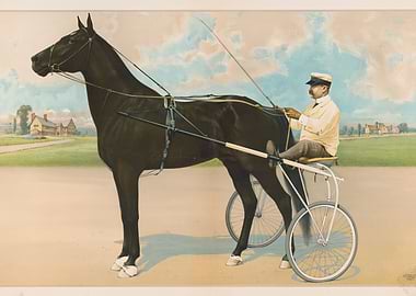Horse and Carriage Vintage Print