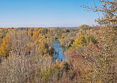 Autumn River Landscape