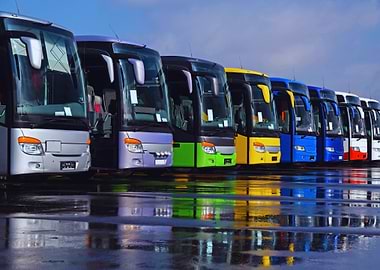 Colorful Buses Lined Up on Wet Asphalt