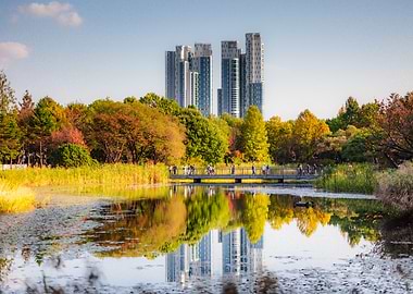 Seoul Forest in Autumn