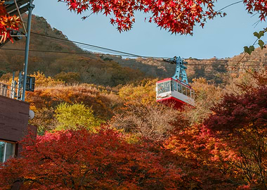 Autumn Cable Car Ride in South Korea