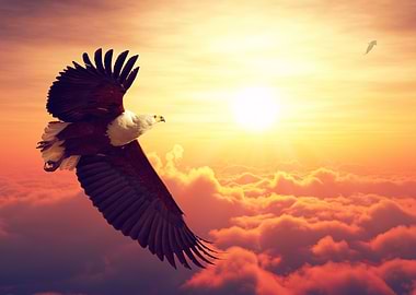 Eagle soaring above clouds at sunset