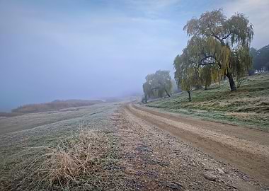 Misty Morning Landscape with Dirt Road