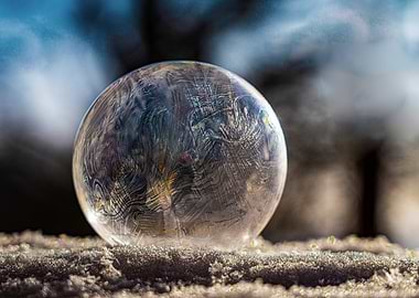 Frozen Bubble with Ice Crystals