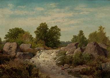 Rocky Path Through a Forest