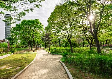 Lush Green Park Pathway