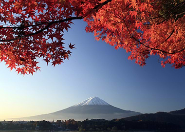 Mount Fuji with Autumn Leaves