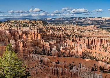 Bryce Canyon National Park Landscape