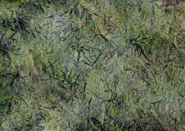 Green and Blue Pine Needle Texture