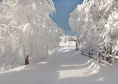 Snowy path to a cabin