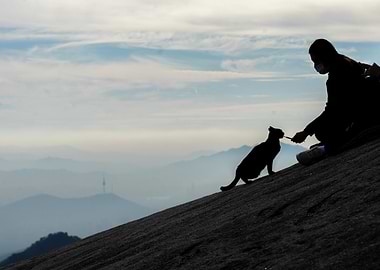Person feeding a cat on a mountain