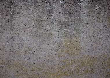 Textured Concrete Surface