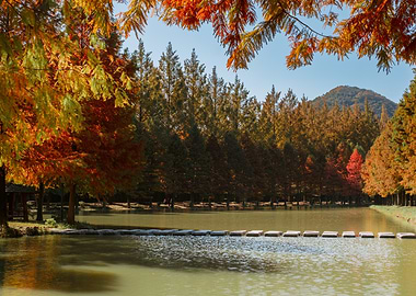 Autumn Scene in South Korea