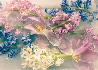 Frozen Flowers in Pastel Hues