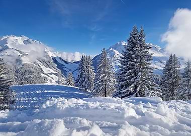 Snowy Mountain Landscape with Fir Trees