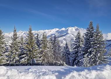 Snowy Mountain Landscape with Pine Trees