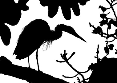 Silhouette of a Heron on a Branch