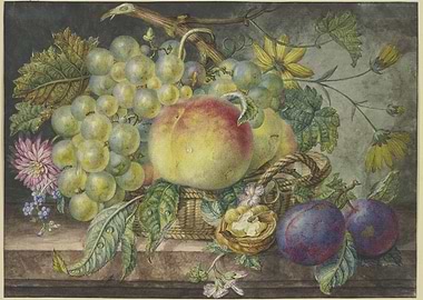 Still Life of Fruits and Flowers