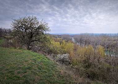 Overcast Sky Over Rolling Hills and Trees