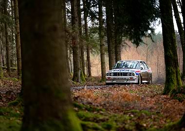 Rally Car Driving Through Forest