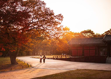 Autumn scene with traditional Korean architecture