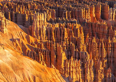Bryce Canyon Hoodoos at Sunrise