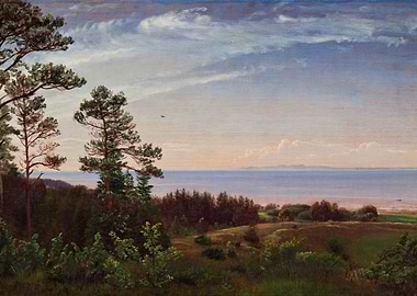 Coastal landscape with trees and sea