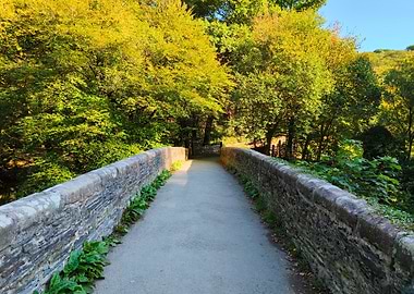Stone bridge path through trees