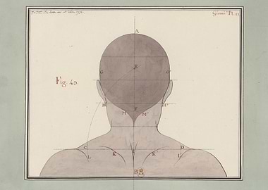 Anatomical Study of the Human Head and Neck