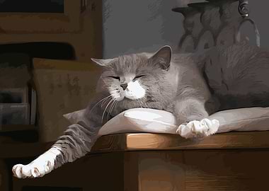 Gray Cat Sleeping on Pillow