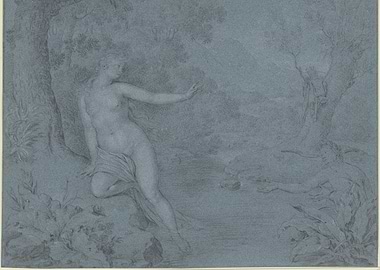 Naked Woman in a Forest Scene