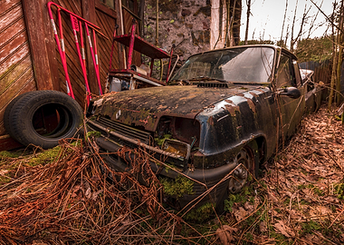 Abandoned Rusty Car in Overgrown Nature