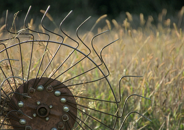 Old Farm Equipment in Field