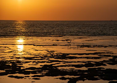 Sunset over the ocean with birds