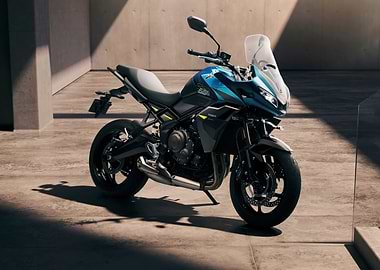 Triumph Tiger 660 Motorcycle