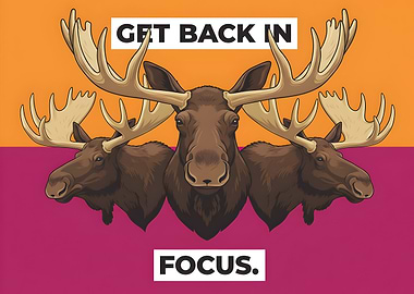 Get Back In Focus. Three Moose with Inspirational Quote