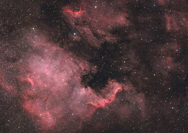 The North America Nebula