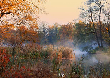 Misty Autumn Morning by the Lake, Poland