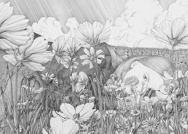 A Moment in the Meadow