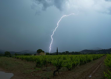 Lightning strikes over vineyard